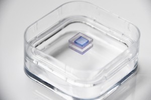 Professional China  Zgp - Co:Spinel Crystals – Dien